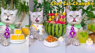 Cool Ice Cream And Drinks Await You This Summer!🍧❄️ |Cat Cooking Food|Cute And Funny Cat