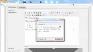 The Admin Site - Pro-Built Control - The Content Editor