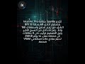 سباركِل تحشر Arc Pro B70 32GB في شق واحد، تمهد لمحطات 256GB