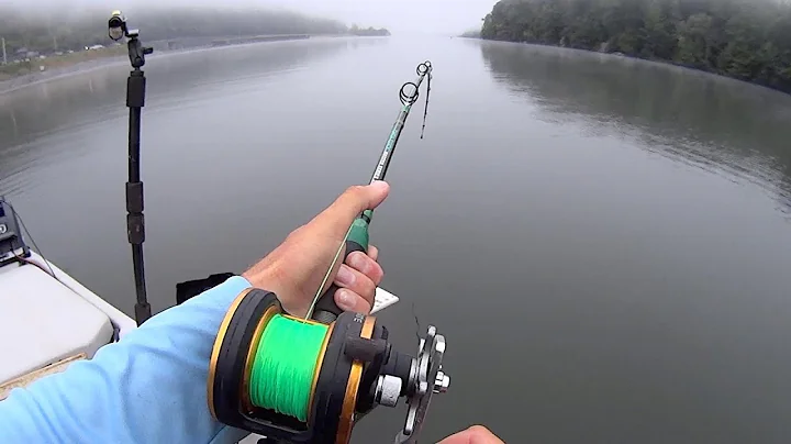 I Went To EXTREME Depths To Catch These BIG Fish!!!