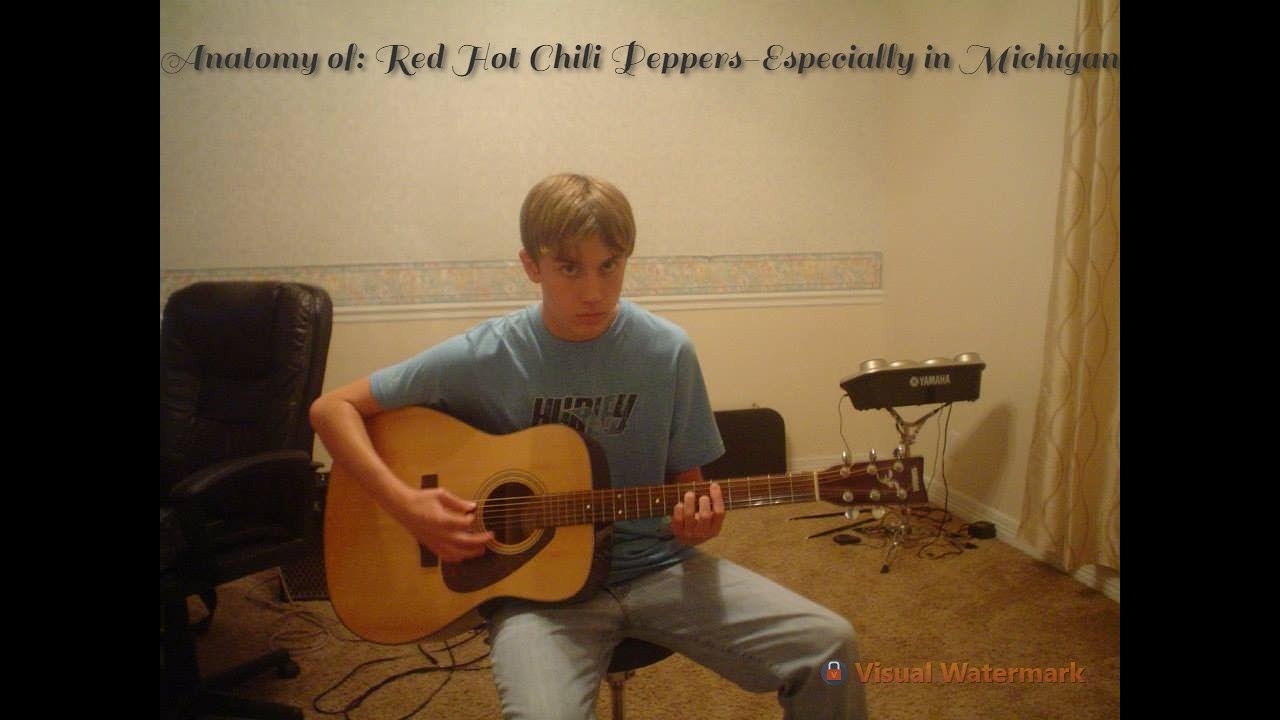 Red Hot Chili Peppers Especially in Michigan Guitar Cover YouTube