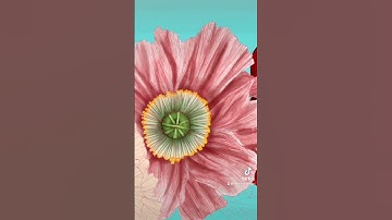 Flower Painting - Digital Art With Procreate Software