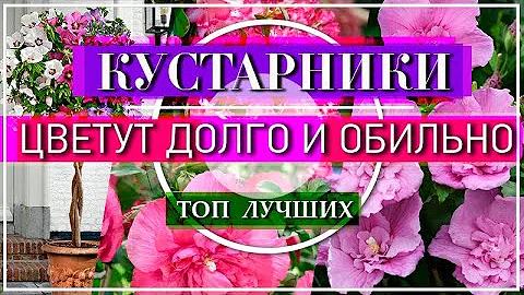 ТОП 5 Самых МОДНЫХ Цветущих Кустарников - НАХОДКА для Вашего Сада
