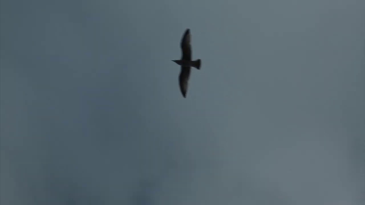 Sagittarius 10th  August Weekly Astrology Horoscope  2020