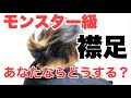 襟足問題を斬る‼︎ ハネる 膨らむ 暴れる美容師泣かせの襟足を解決