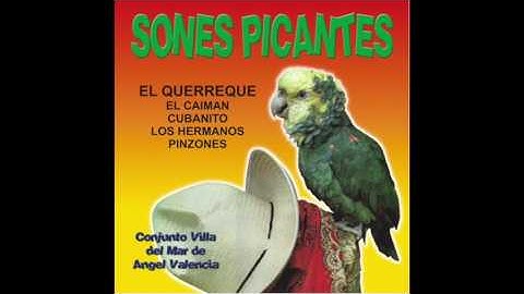 Conjunto Villa Del Mar de Angel Valencia - Sones Picantes (Disco Completo)
