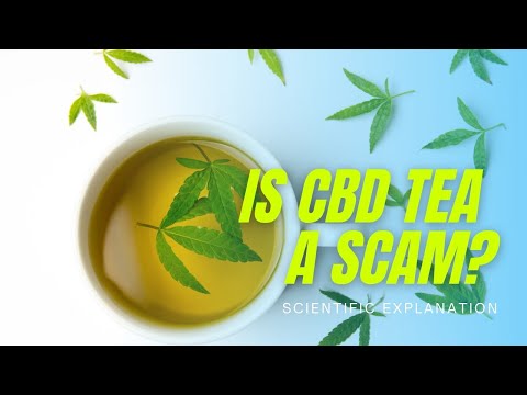 What is CBD tea really good for? (Science Explained)