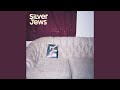 Silver Jews - Bright Flight