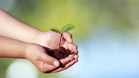 Nghị lực vượt khó, học giỏi của cô học trò nghèo  Bảo Chân