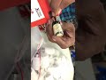 bullet brake light led