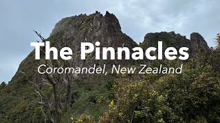 Hiking the Pinnacles | Coromandel Forest Park, New Zealand