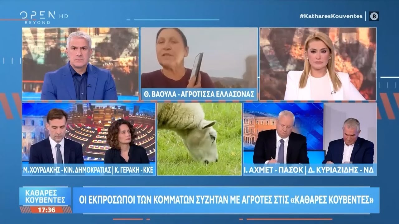 Θ.Δάουλα: «Η πείνα φέρνει ακραίες καταστάσεις» | Ethnos