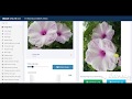 Image rotate tool - imageonline.co