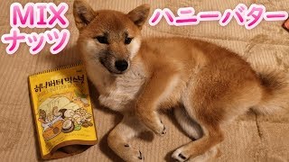 ハニーバターミックスナッツ最高！　韓国のお菓子（お土産）