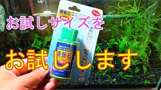 【アクアリウム】グッピー水槽　#17 麦飯石濃縮液