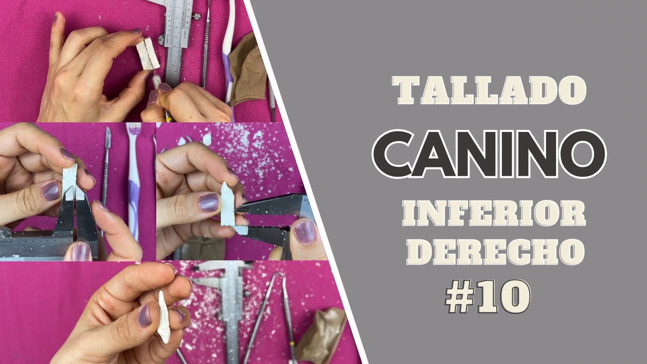 Tallado en cera de canino inferior derecho | Odontologia con Cri