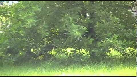 Touch Fuzzy Get Dizzy - Next Gen edition