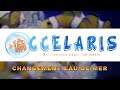 Changement eau de mer chez occelaris 