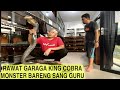 KING COBRA GARAGA PASRAH DI RAWAT GURUKU HERU GUNDUL