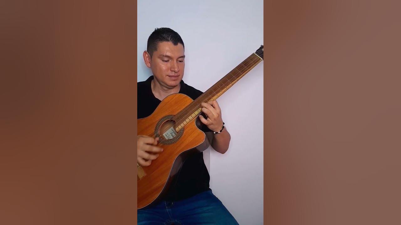 Estos Celos - Vicente Fernandez #guitarra #videoshort #musicaranchera