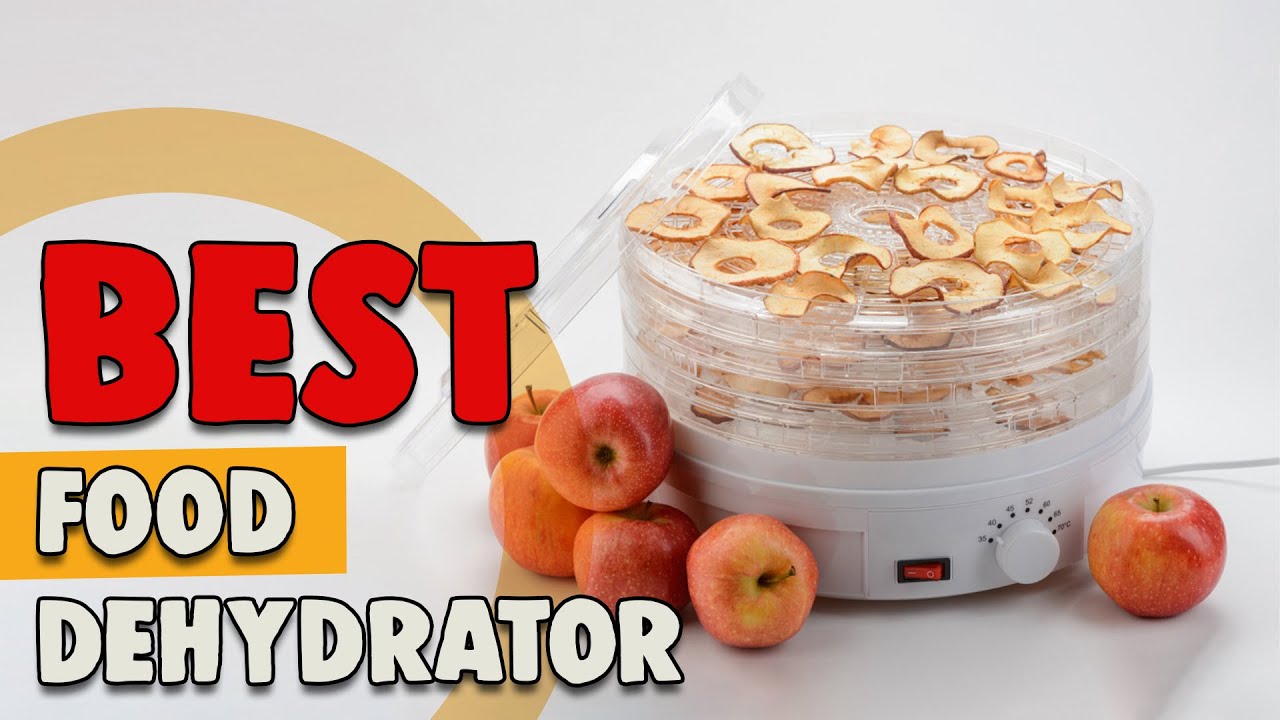 Best Food Dehydrator in 2022 – The Ultimate Top 10 List! 