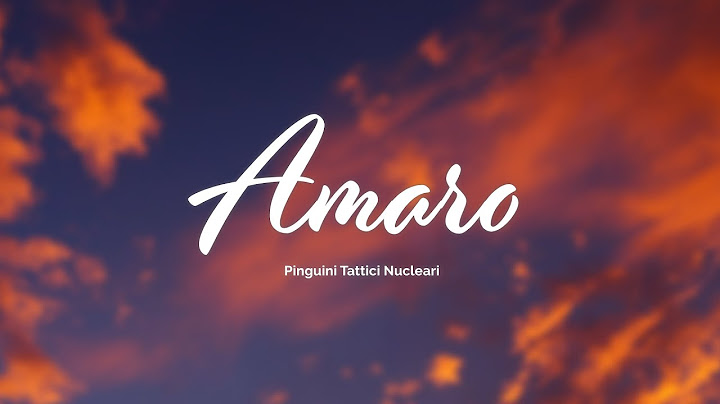 Pinguini Tattici Nucleari - Amaro (Testo/Lyrics)