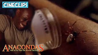 Jack Poisons Gordon With A Venomous Spider | Anacondas: The Hunt For The Blood Orchid | CineStream