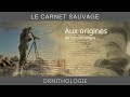 Ornithologie  aux origines