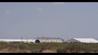 Record Deaths in ICE Custody Raise Concerns Over Detention Conditions
