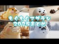 【2025総まとめ】アザラシ達のもぐもぐ姿が可愛いすぎる癒しシーン🦭