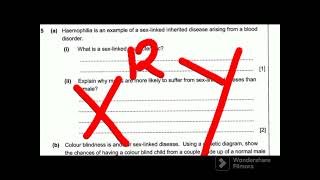 Biology paper 2. Genetics Colour Blindness