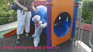 Coco, Parkour Novice 2 Feet On