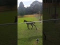 Twh