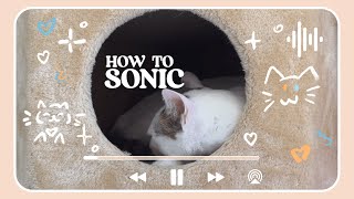 How to SONIC. Manual how to babysit my cat.