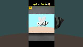 Mosquitoes Love Some People But Why