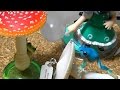 ガチャガチャ キノコとアマガエル またやってきた Capsule Toy NATURE TECHNI COLOUR Mushrooms and Tree Frog Try again