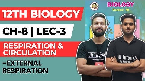 12th Biology | Chapter 8 | Respiration & Circulation | Lecture 3 | Maharashtra Board |