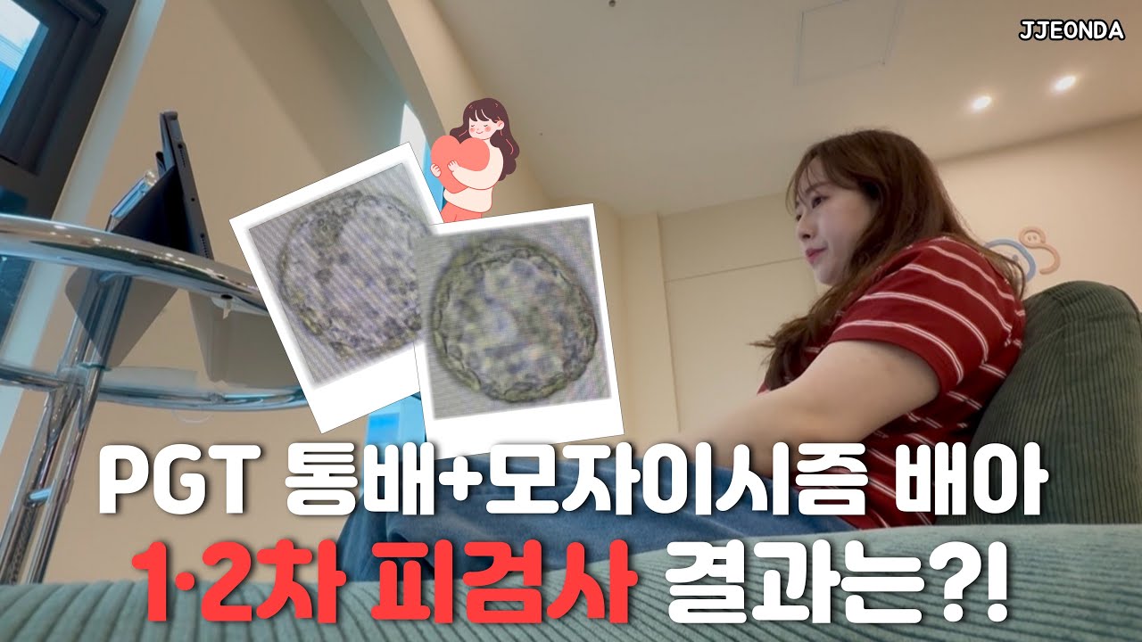 시험관브이로그:: PGT통배 모자이시즘 배아, 이식 후 임테기 변화부터 1,2차 피검사까지 (임신준비 난임브이로그 난임병원 배아이식 시험관과정)