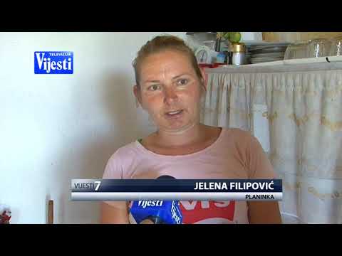 KATUNI NA LUKAVICI - TV VIJESTI 27.07.2019.