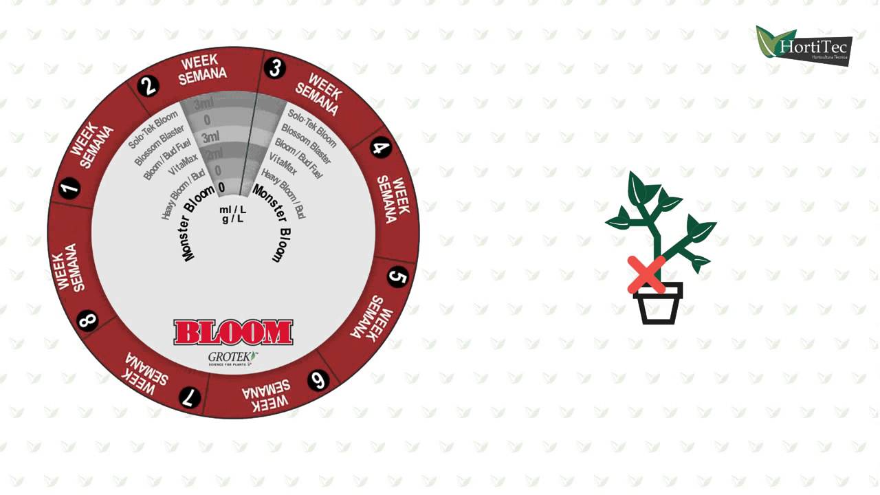 Hortitec - Como funciona el Monster Bloom, aumenta tu cosecha