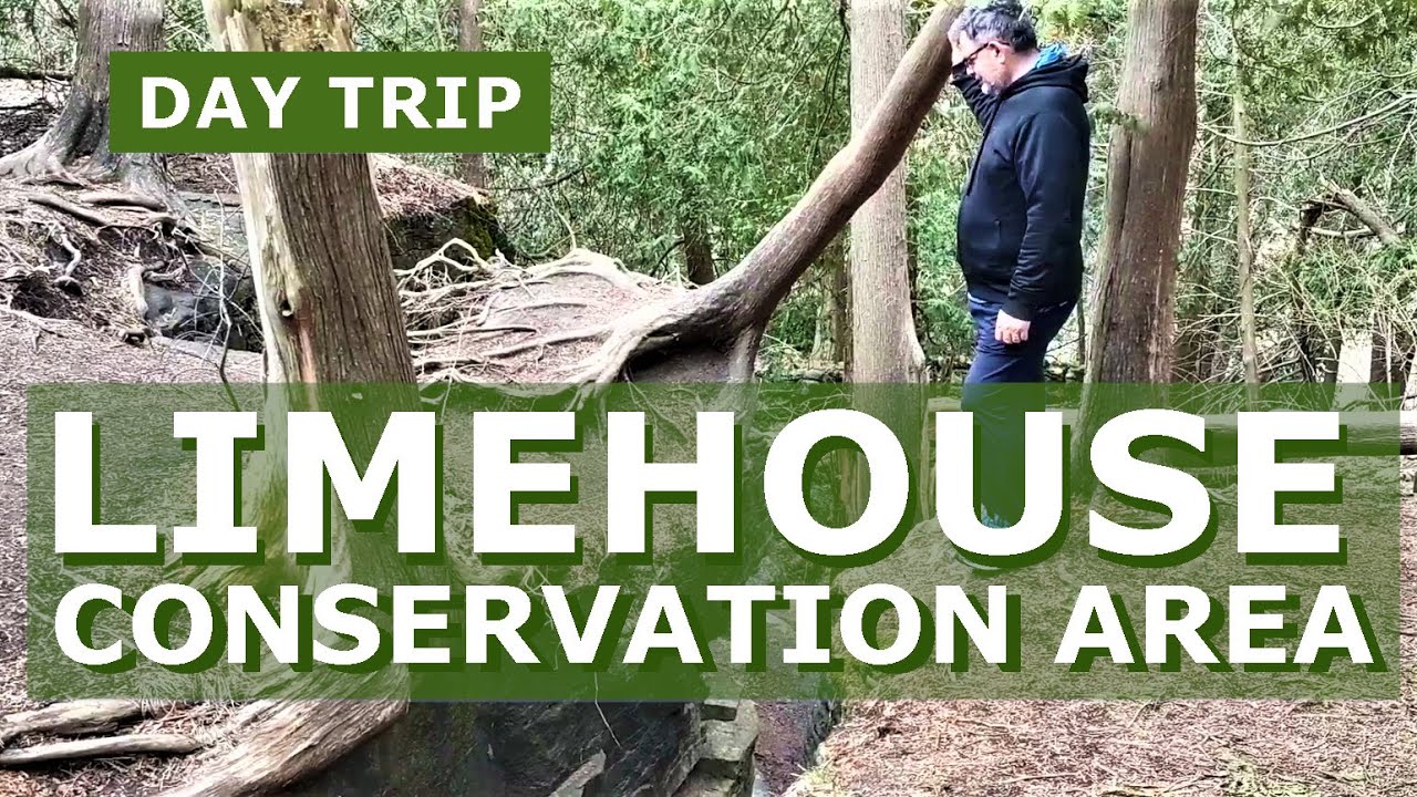 Explore Limehouse Conservation Area, Halton Hills, Ontario! 🌳🌿 - YouTube