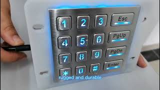 DAVO LIN IP68 Outdoor Waterproof Industrial Numeric Keypad with 16 Keys