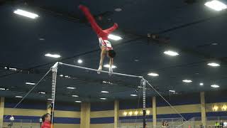 Asher Hong - High Bar - 2018 Winter Cup - Junior Prelims