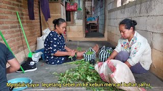 Mencari rempah Polo Wijo di Kebun,Jumpa Ibu-Ibu Desa yang Mengumpulkan Daun Cengkeh untuk Dijual!' 😊