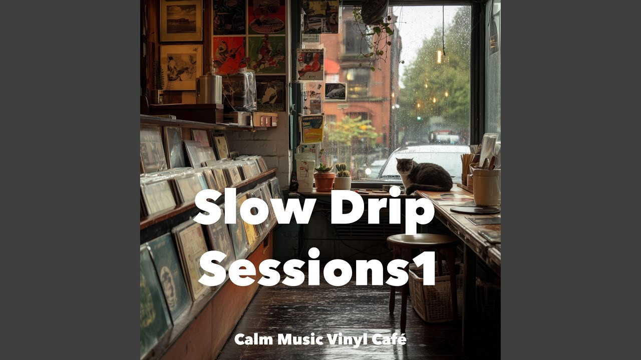 Midnight Reflections