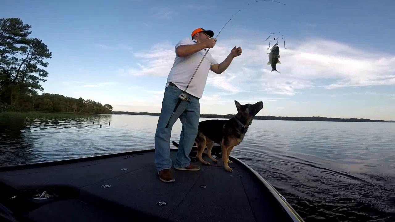 Breaking Bass! Lay lake with Heisenberg YouTube