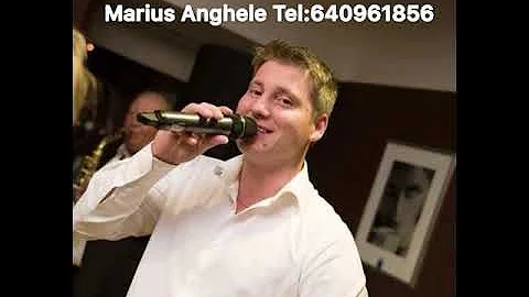 Marius Anghele 2019 O prins doru radacina