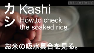 【麹本】#kojiforlife|かしkashi:how to check the soaked rice