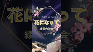 花になって-緑黄色社会(TVアニメ『薬屋のひとりごと』オープニングテーマ) piano & koto cover.