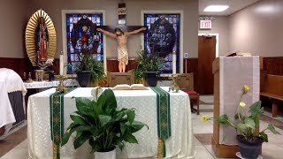 Misa Natividad de Juan el Bautista